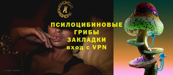 соль ск Алексеевка