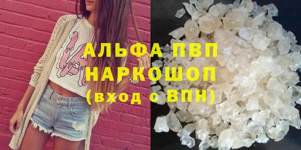 винт Алзамай