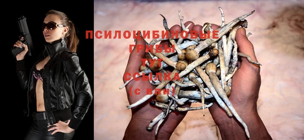 винт Алзамай