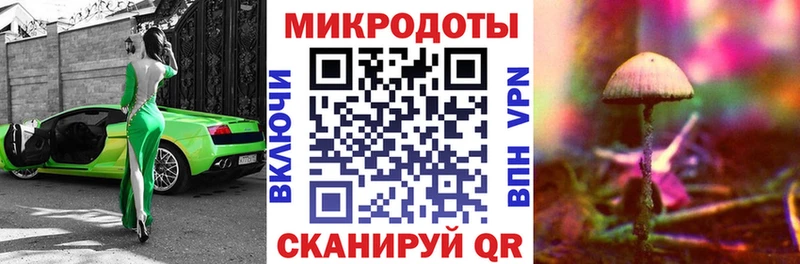 Псилоцибиновые грибы Psilocybine cubensis купить закладку kraken зеркало Ветлуга