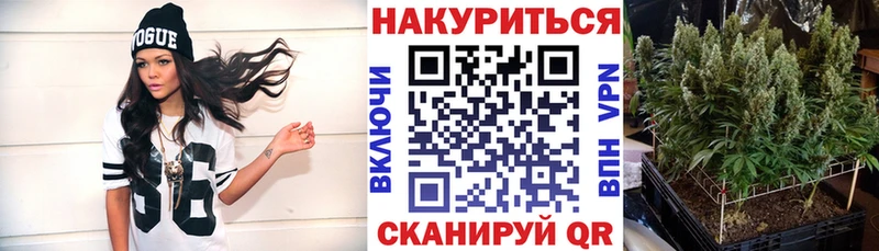 Бошки марихуана Bruce Banner  Ветлуга 